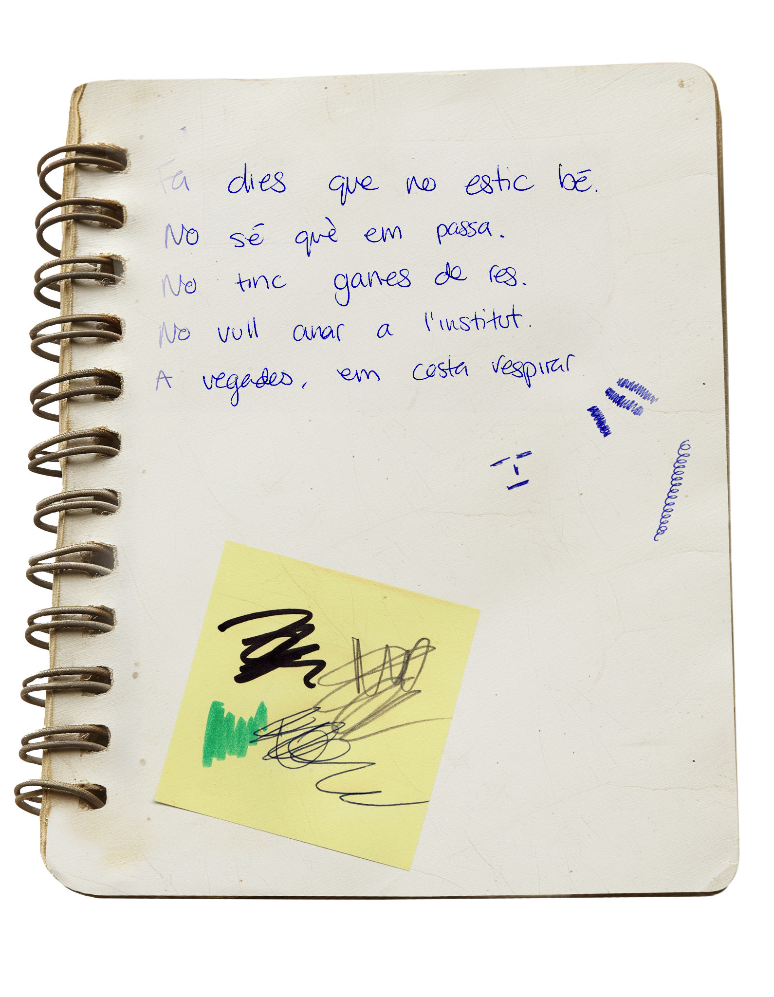 Diary