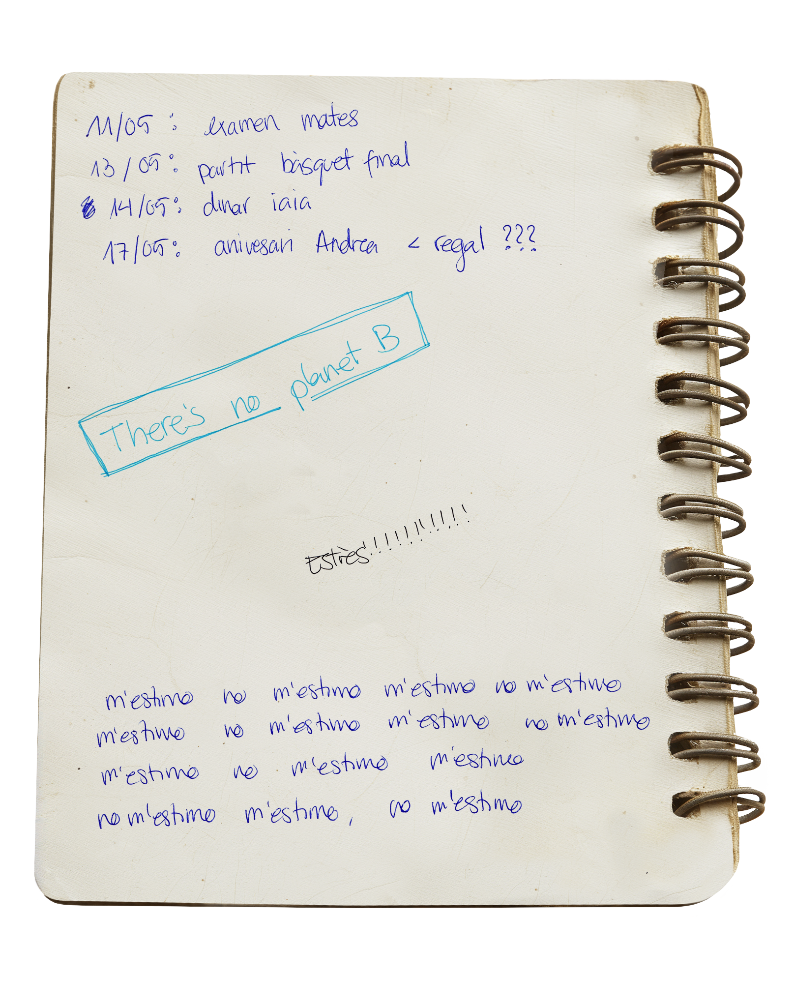 Diary